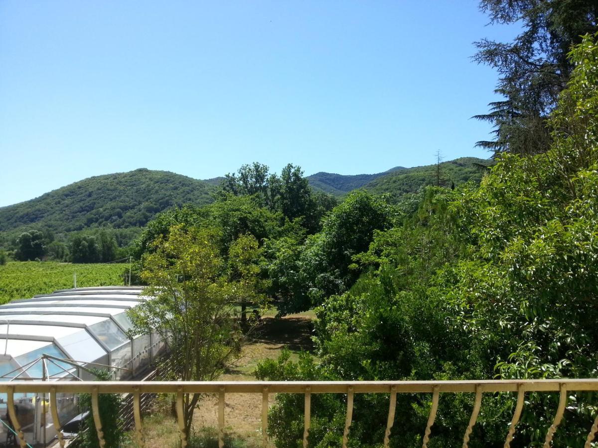 Villa Les Martinets-Piscine-Jacuzzi-Voie Verte-Gorges D'Heric-Massif Du Caroux Mons Olargues 34600 Le Poujol-sur-Orb Exteriör bild
