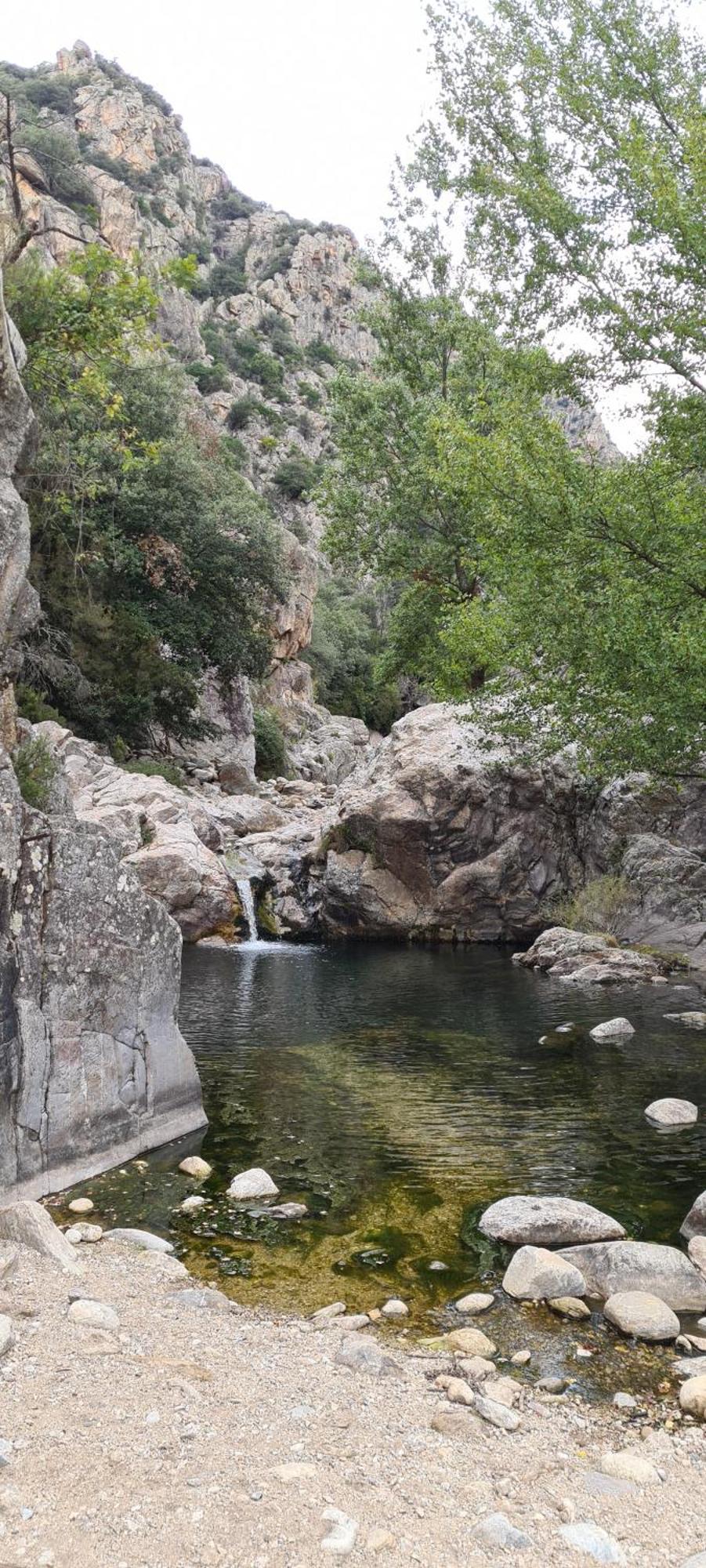 Villa Les Martinets-Piscine-Jacuzzi-Voie Verte-Gorges D'Heric-Massif Du Caroux Mons Olargues 34600 Le Poujol-sur-Orb Exteriör bild