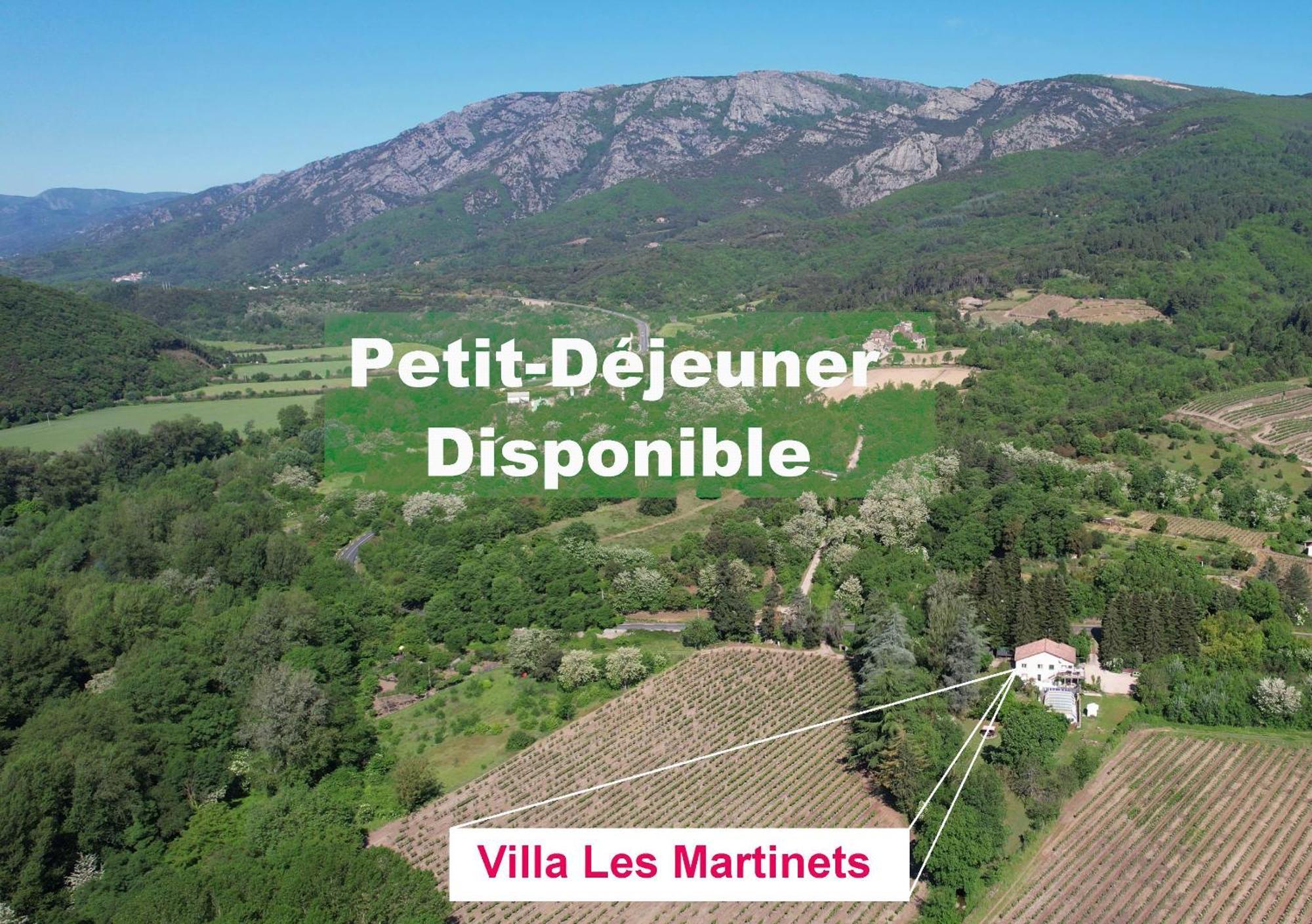 Villa Les Martinets-Piscine-Jacuzzi-Voie Verte-Gorges D'Heric-Massif Du Caroux Mons Olargues 34600 Le Poujol-sur-Orb Exteriör bild